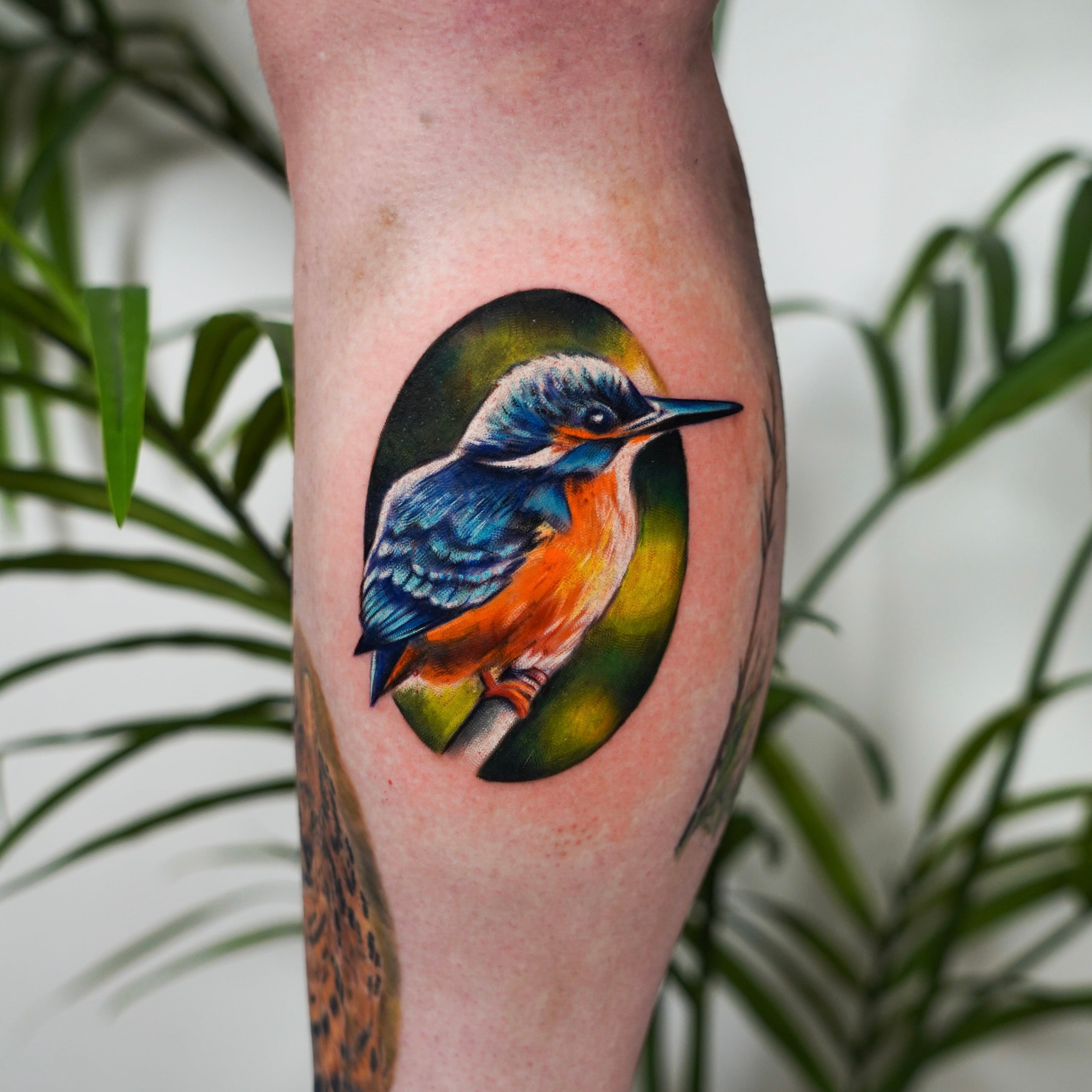 John Boy Tattoo small-tattoo-kingfisher-bird-color-realism-leg-petit-tatouage-oiseau-martin-pecheur-tatuaje-pequeno-pajaro-martin-pescador-pierna-john-boy-tattoo-israel