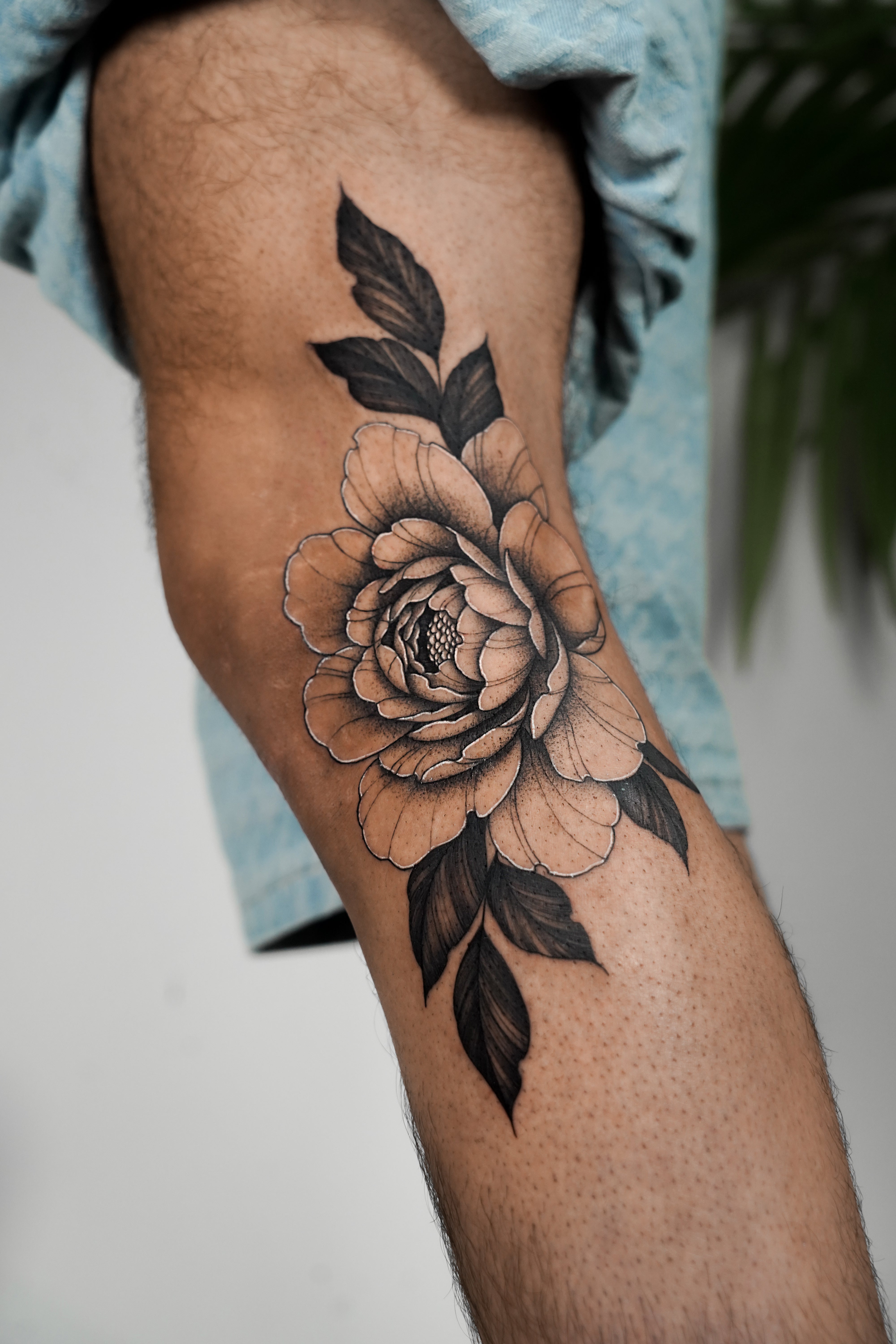 Zlata Koniak - זלטה קוניאך - John Boy Tattoo