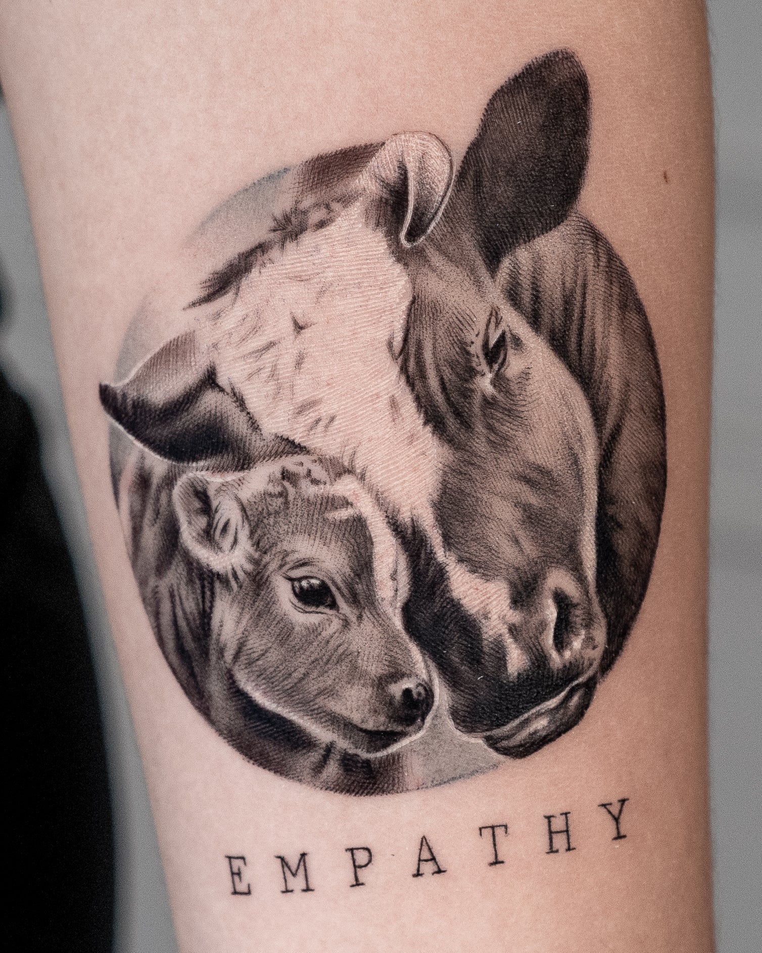 Ben Mishkit - בן מישקיט - John Boy Tattoo