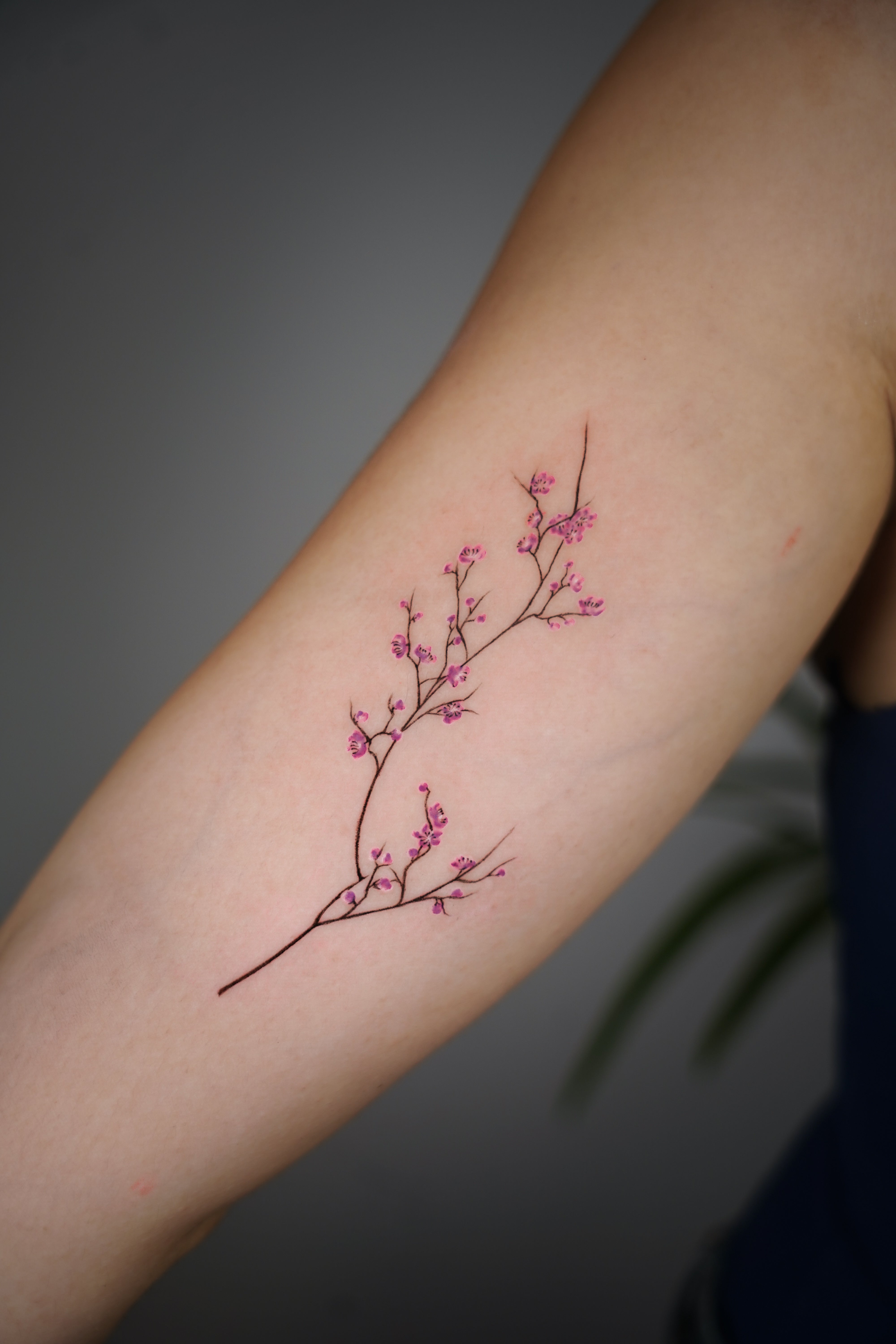 Eden Ronen - עדן רונן - John Boy Tattoo