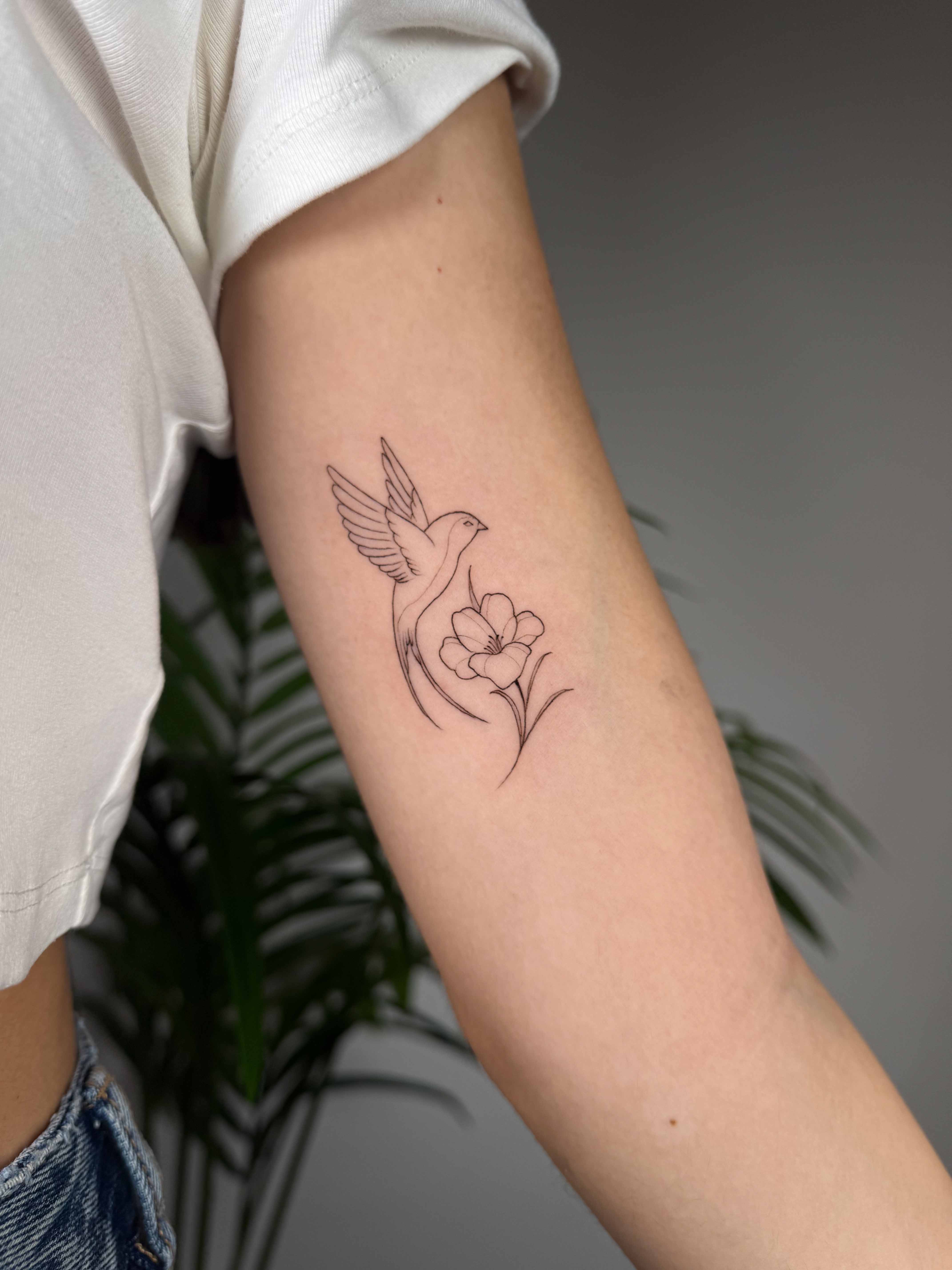 ג׳ון בוי קעקועים - פיין ליין - Fine Line - John Boy Tattoo