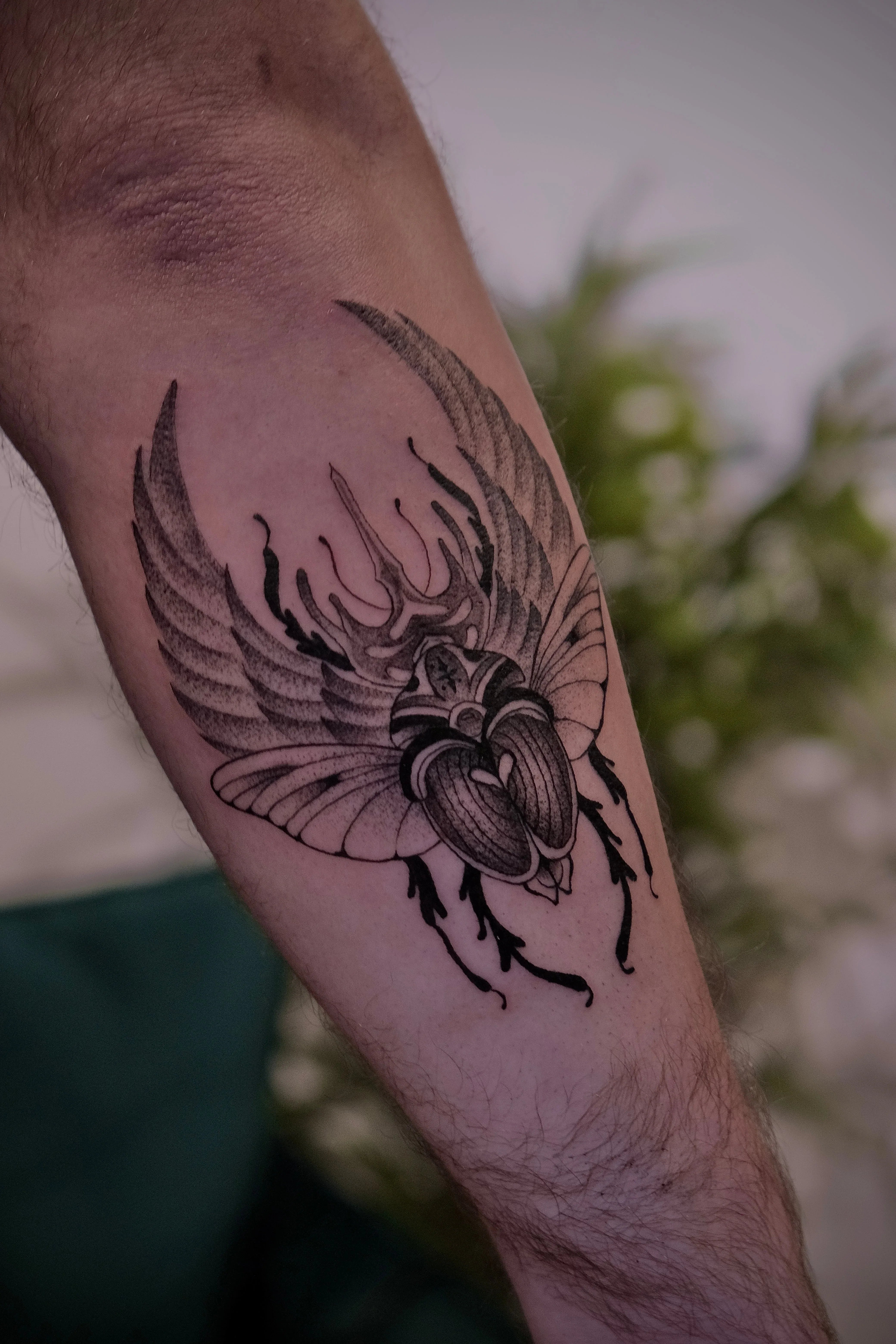 Matan Dali- מתן דאלי - John Boy Tattoo