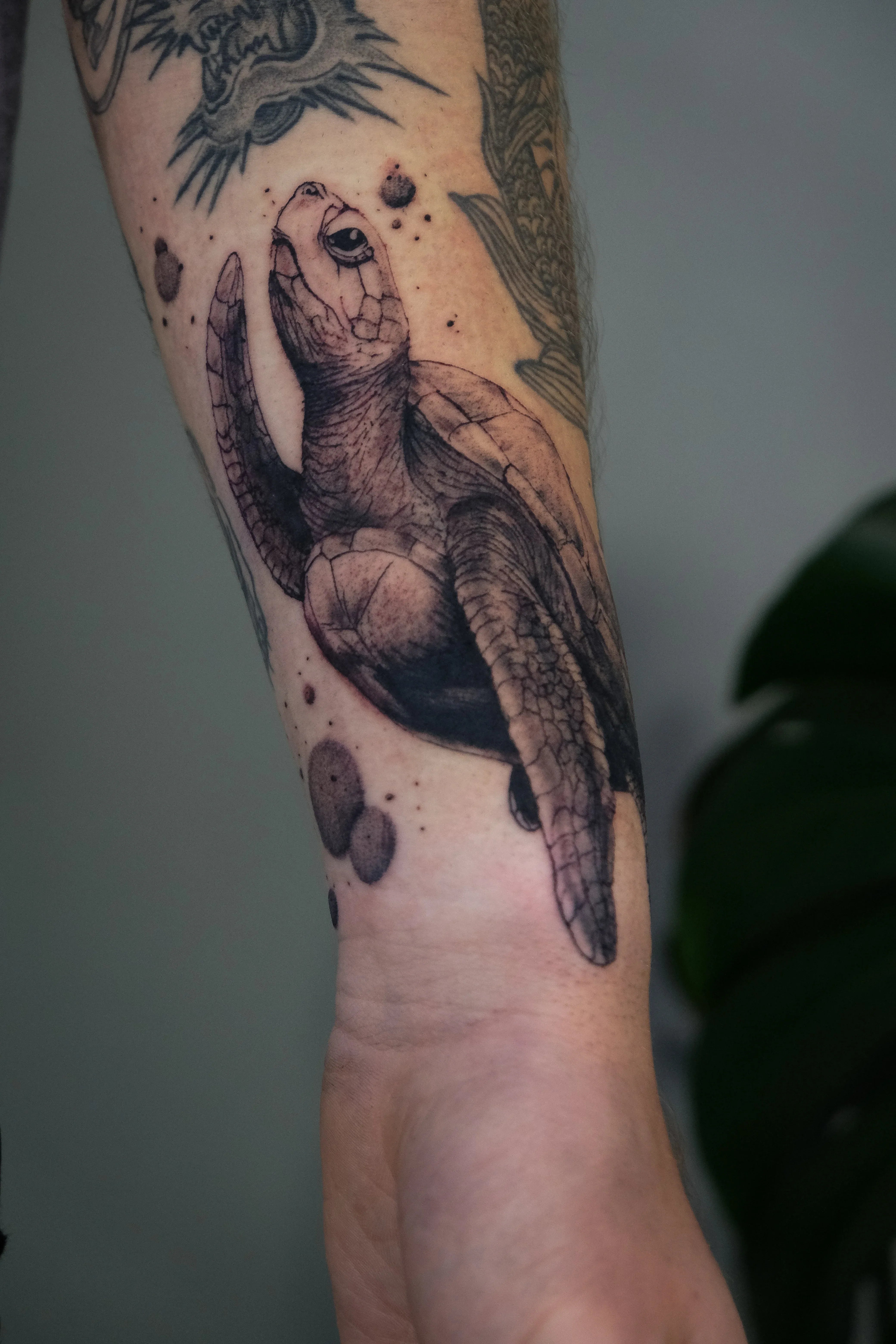 Matan Dali- מתן דאלי - John Boy Tattoo