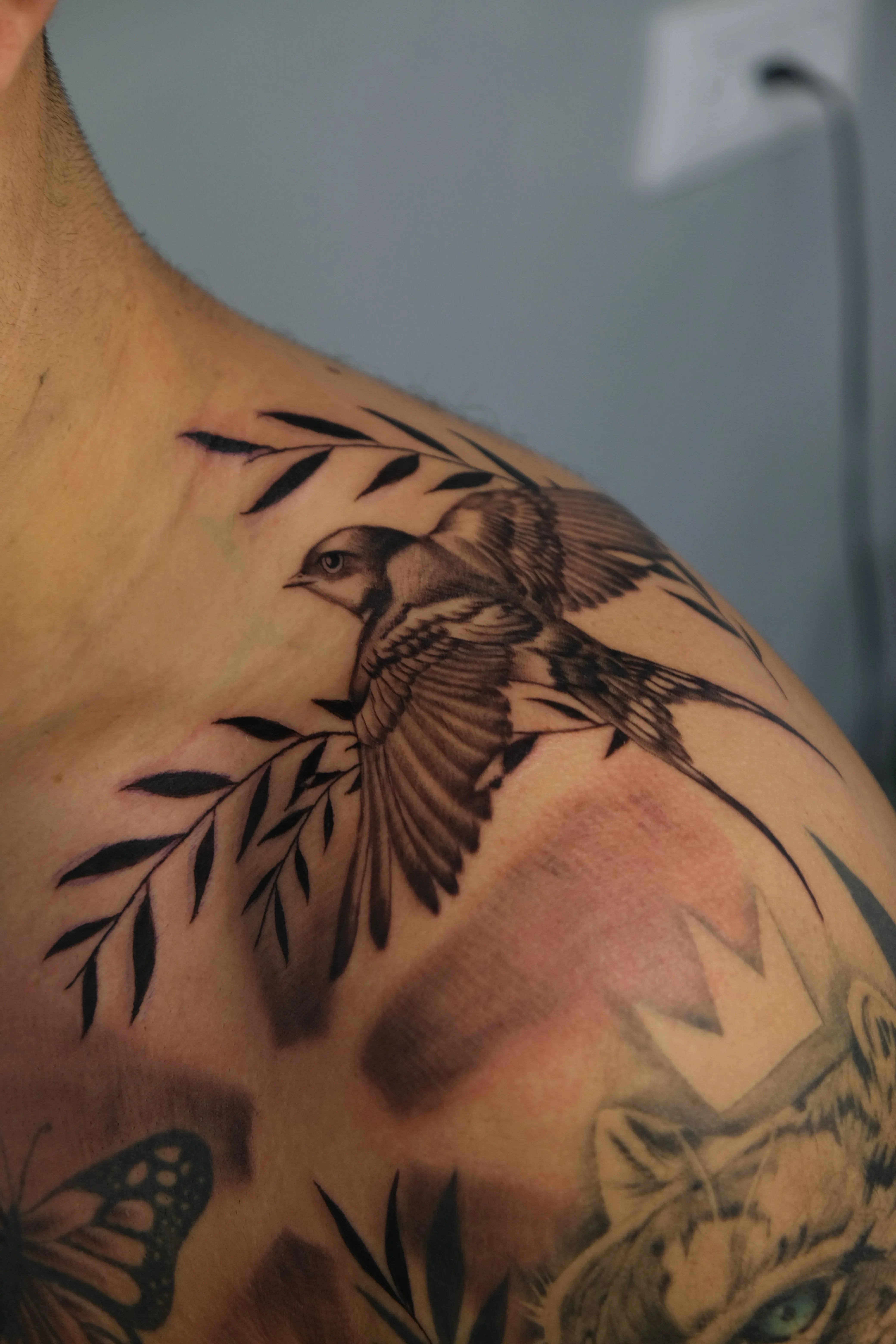 Matan Dali- מתן דאלי - John Boy Tattoo