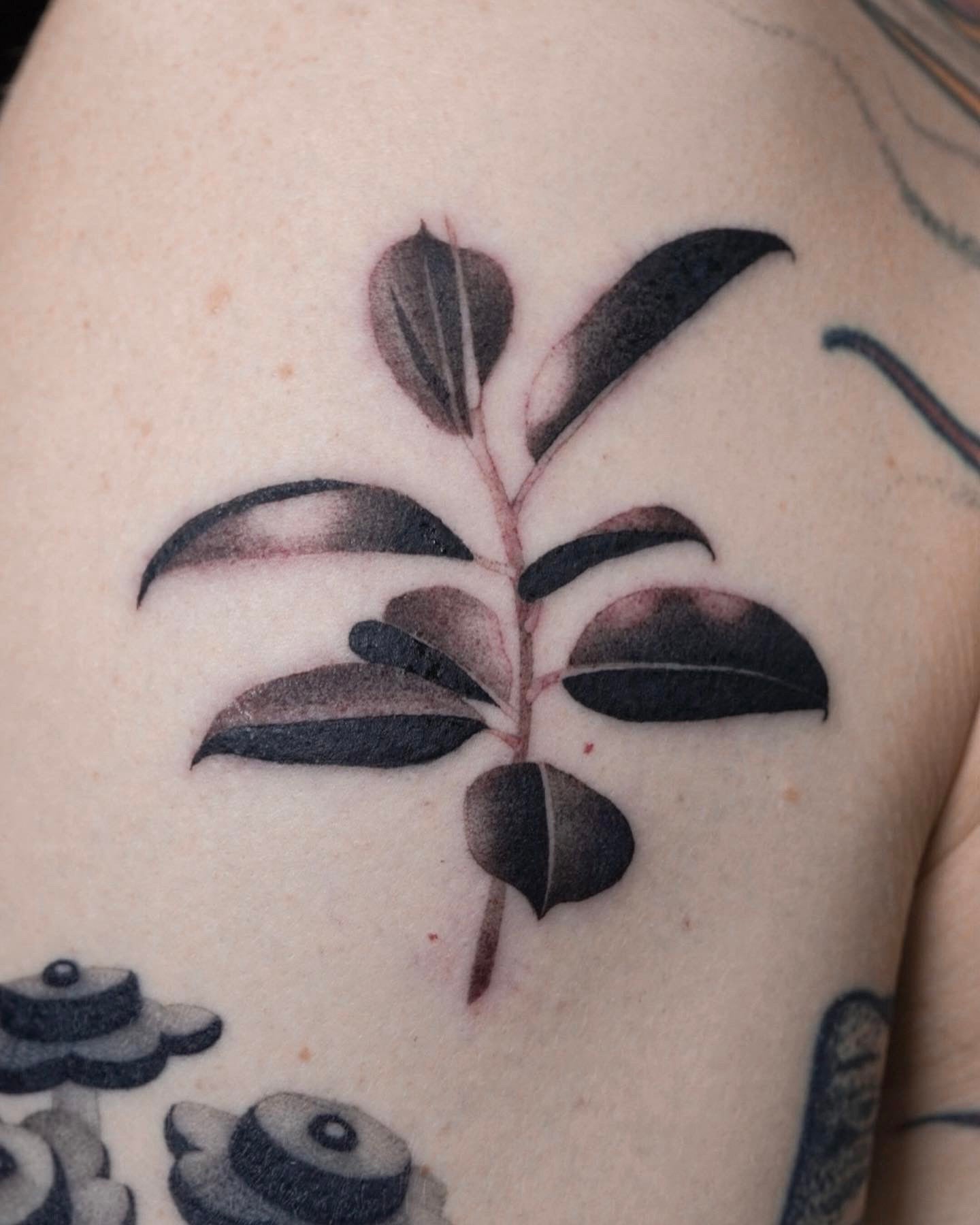 John Boy Tattoo Rina Makhlin- רינה מכלין