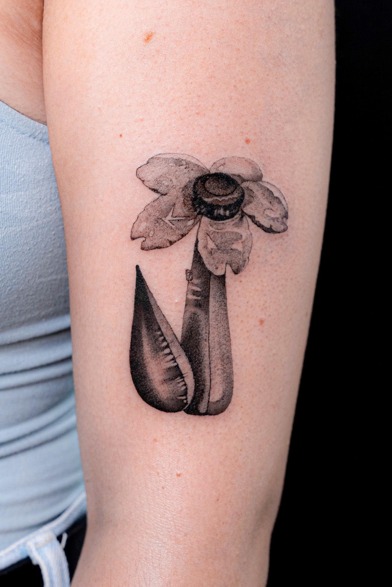 John Boy Tattoo Rina Makhlin- רינה מכלין