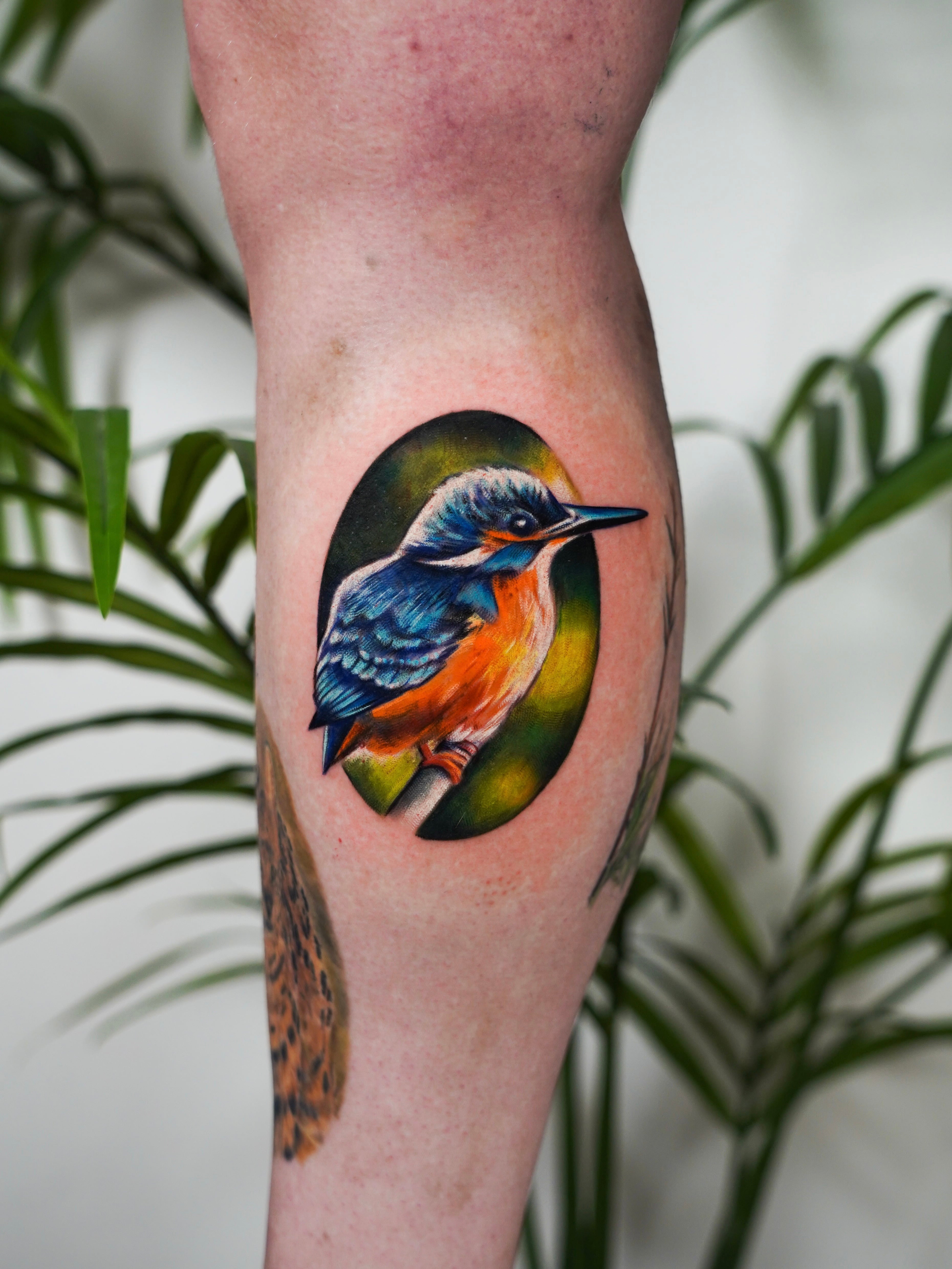 John Boy Tattoo small-tattoo-kingfisher-bird-color-realism-leg-petit-tatouage-oiseau-martin-pecheur-tatuaje-pequeno-pajaro-martin-pescador-pierna-john-boy-tattoo-israel