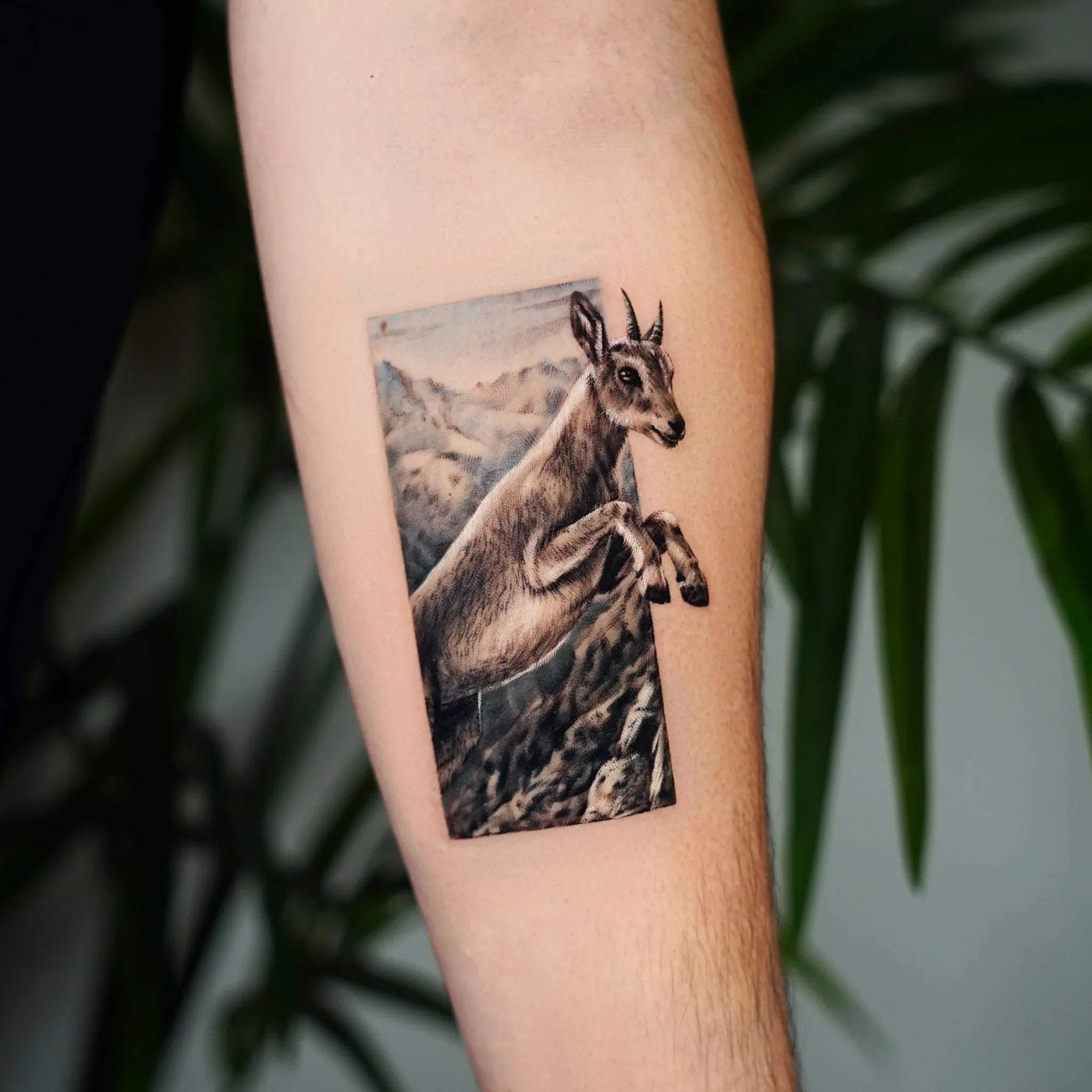John Boy Tattoo Tattoo artist עמית אוליאל - Amit Oliel