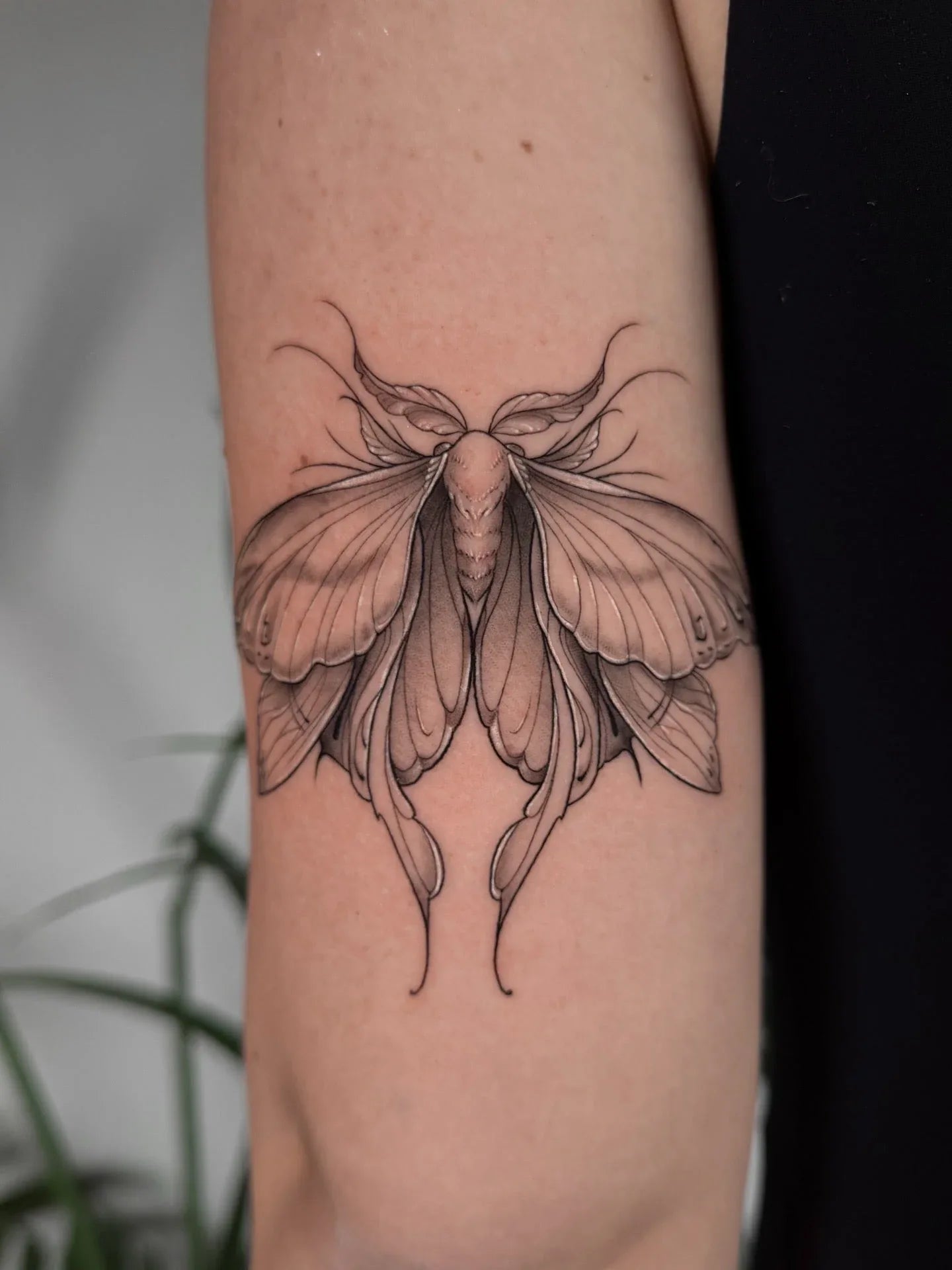 John Boy Tattoo Tattoo artist עדן רונן - Eden Ronen