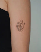 John Boy Tattoo Tattoo artist Irit Gamburg- אירית גמבורג