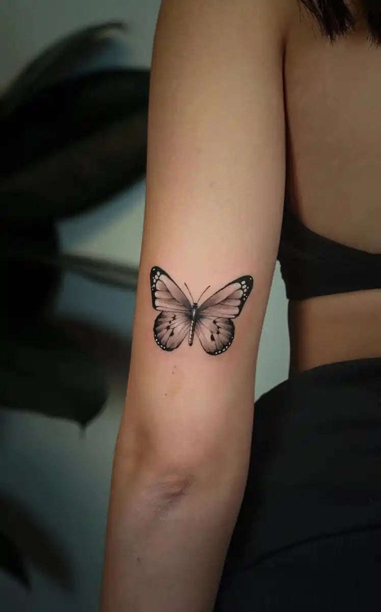 John Boy Tattoo Tattoo artist Ofir Meishar- אופיר מיישר