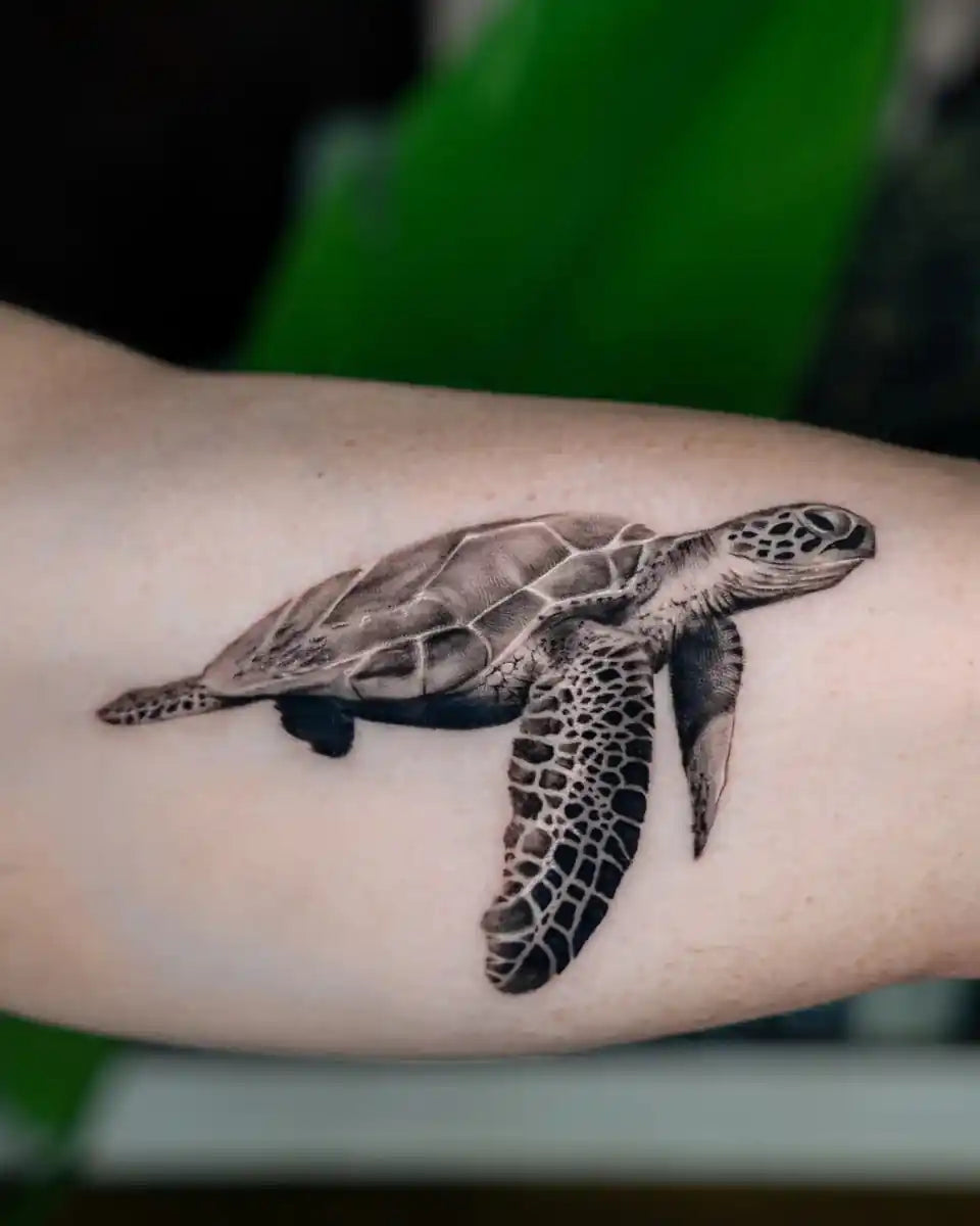 John Boy Tattoo Tattoo artist Ofir Meishar- אופיר מיישר