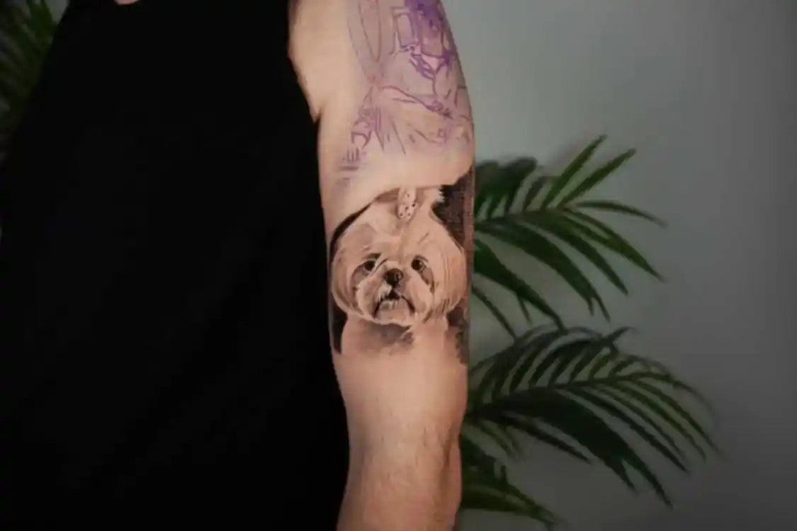 John Boy Tattoo Tim Hefets- טים חייפץ