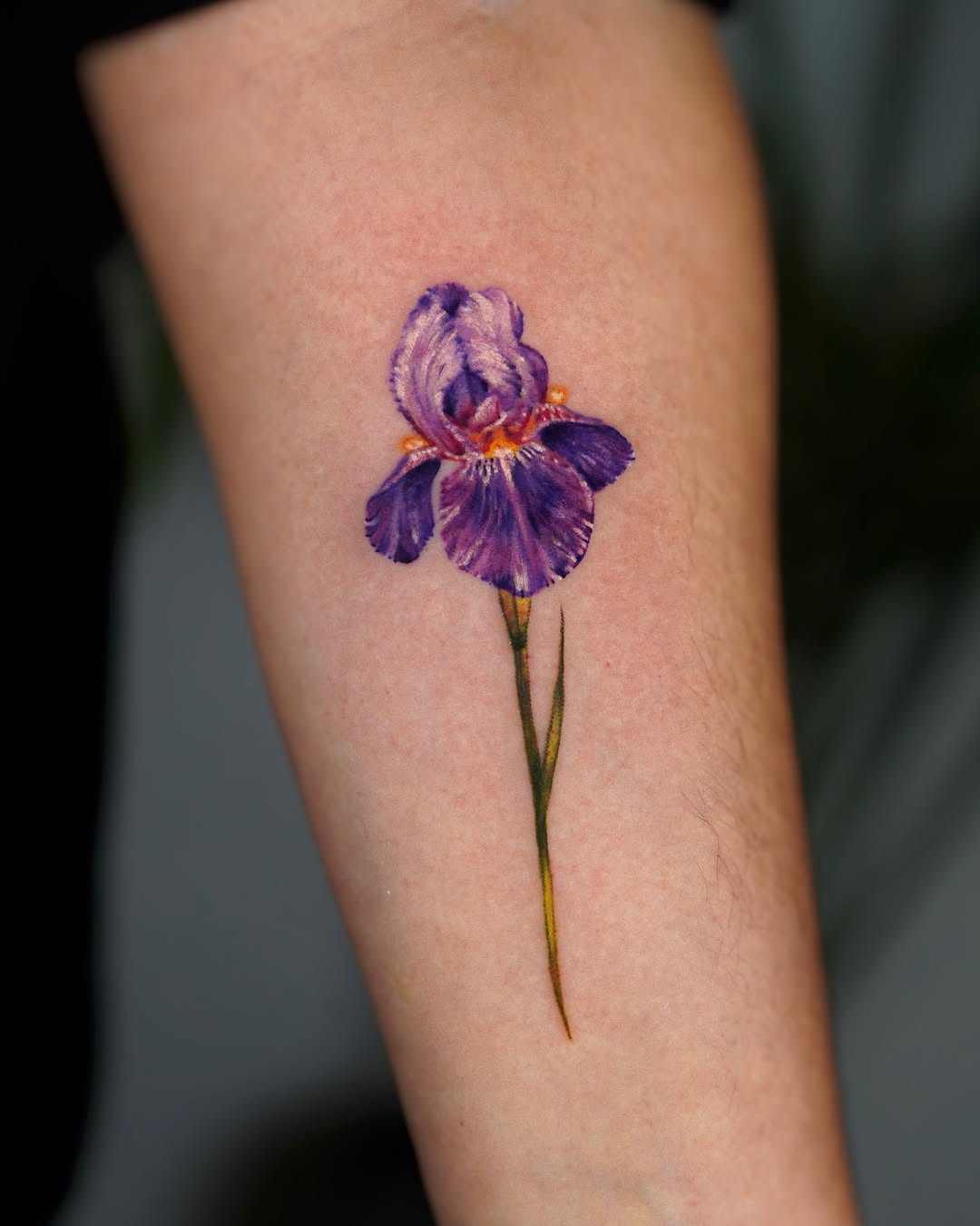 Nikita Dmitriev - ניקיטה דימטרייב - John Boy Tattoo