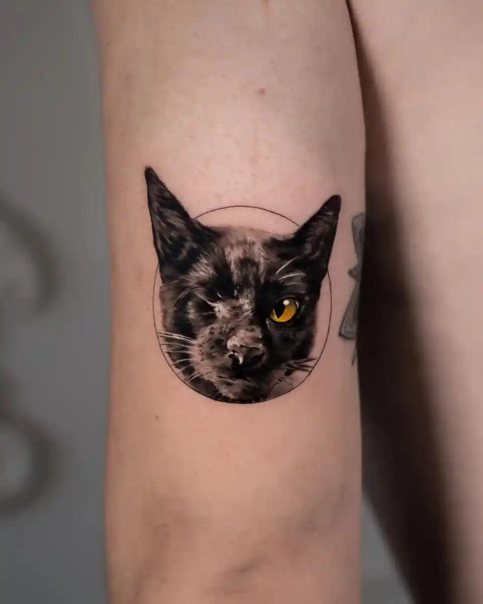 Nikita Dmitriev - ניקיטה דימטרייב - John Boy Tattoo
