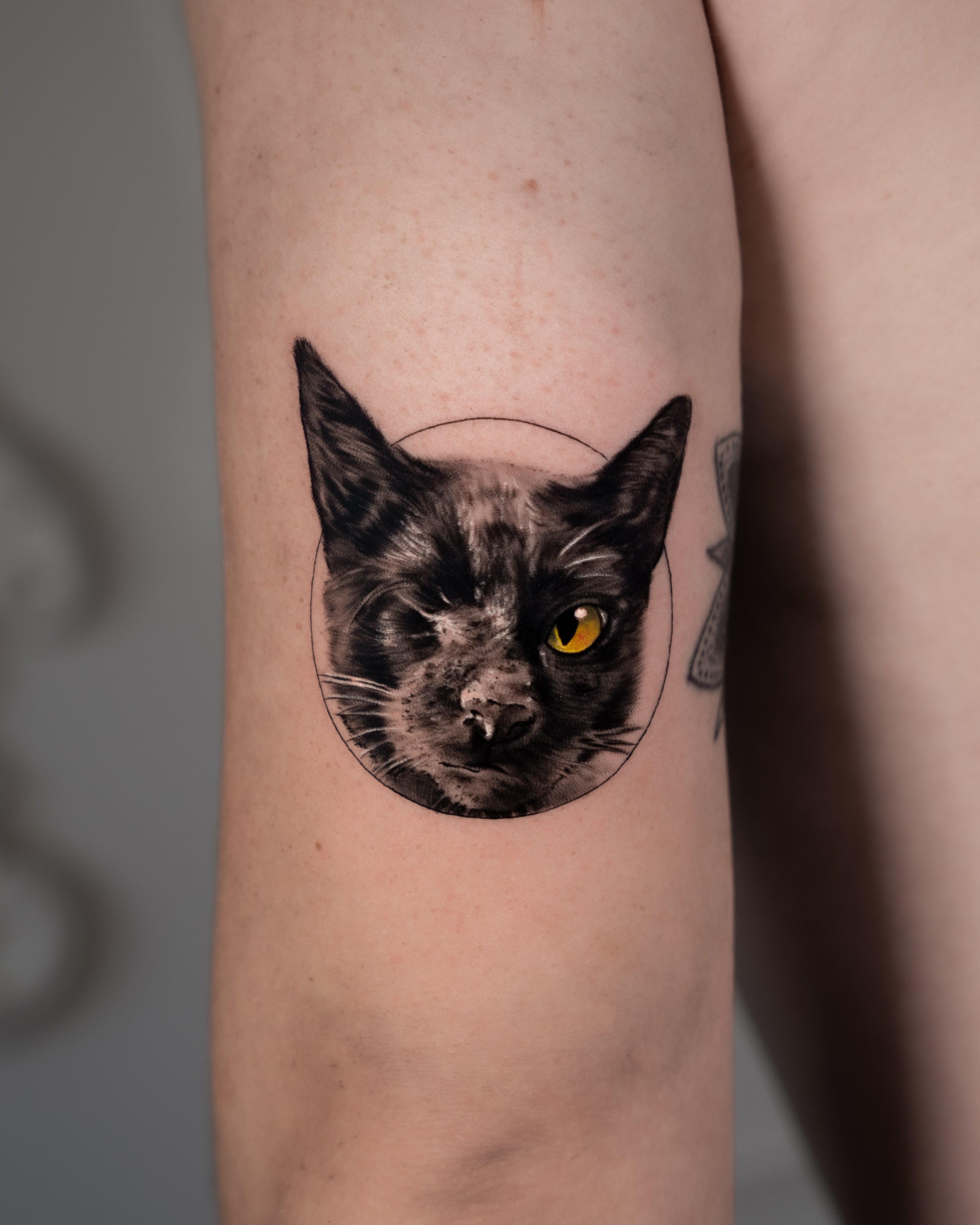 Nikita Dmitriev - ניקיטה דימטרייב - John Boy Tattoo