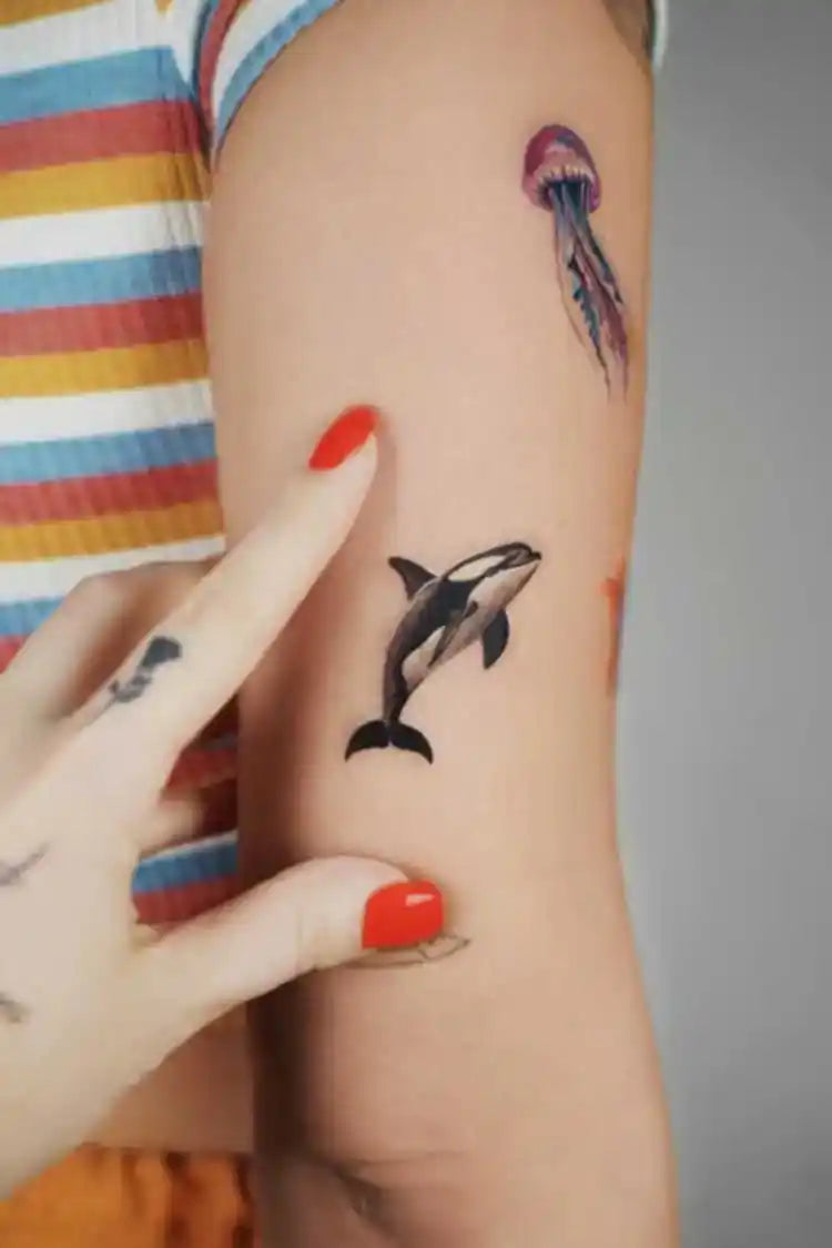 Ofir Meishar - אופיר מיישר – קעקוע מקצועי בסטודיו John Boy Tattoo תל אביב