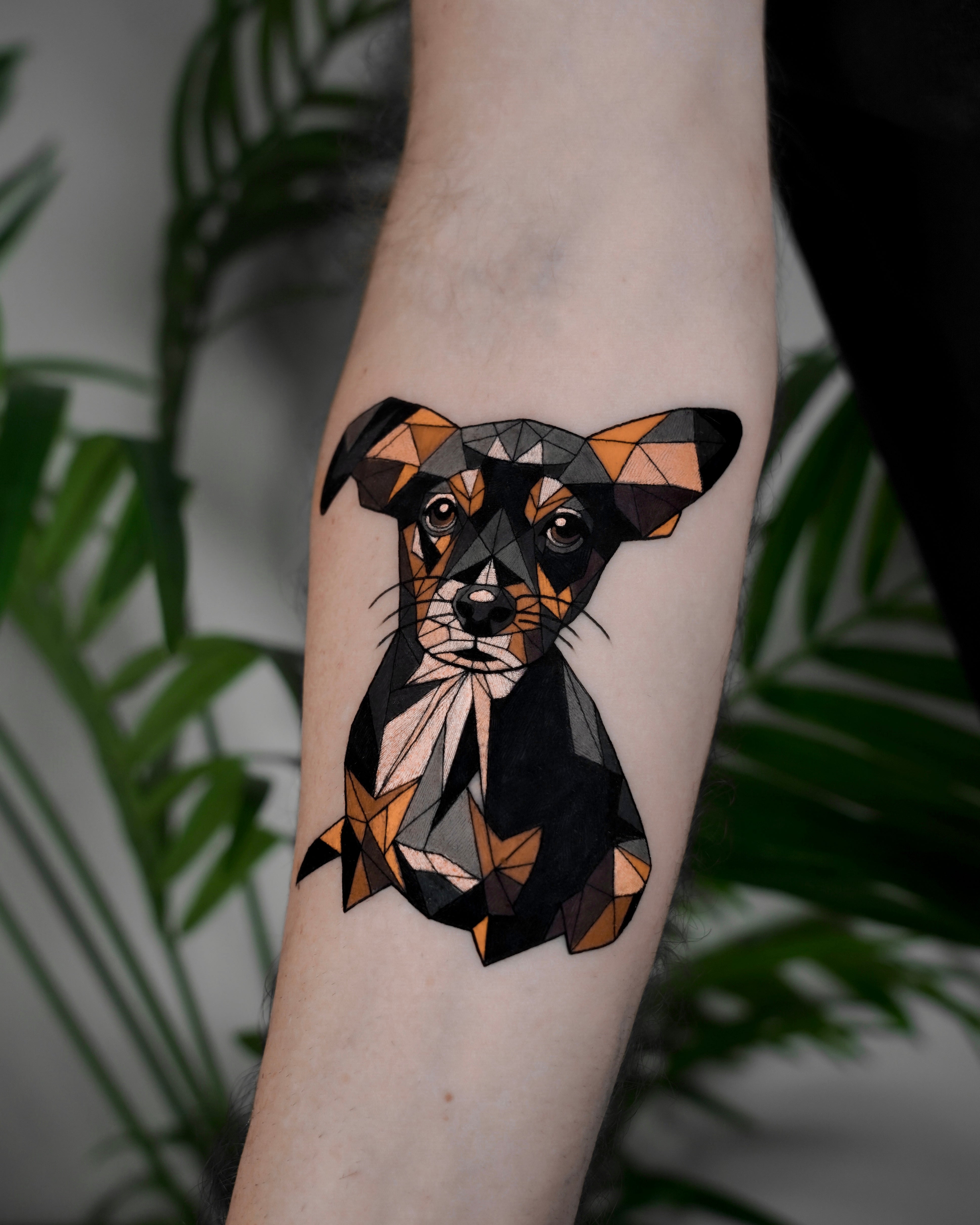 Ofir Meishar - אופיר מיישר - John Boy Tattoo