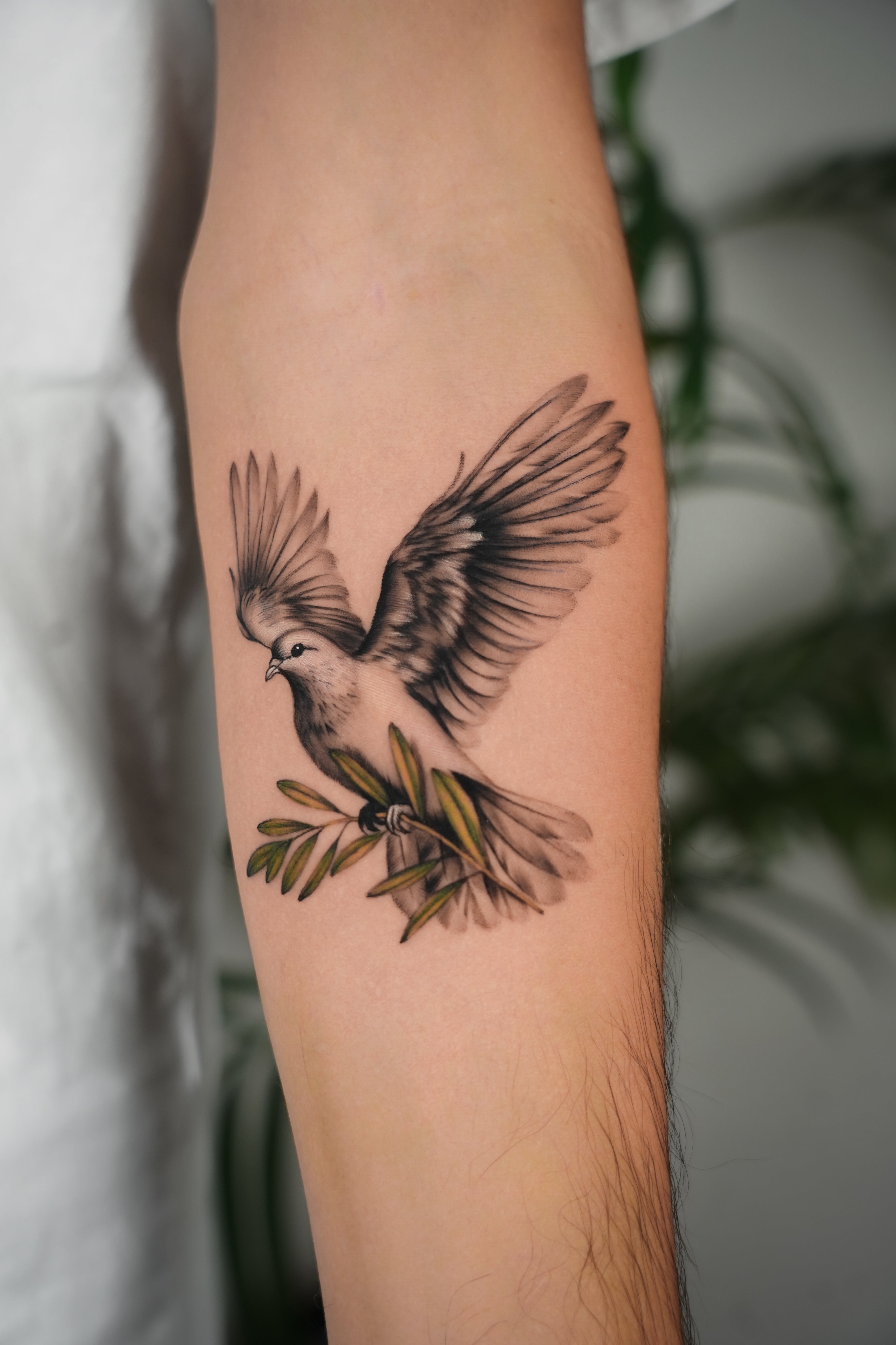 Ofir Meishar - אופיר מיישר - John Boy Tattoo