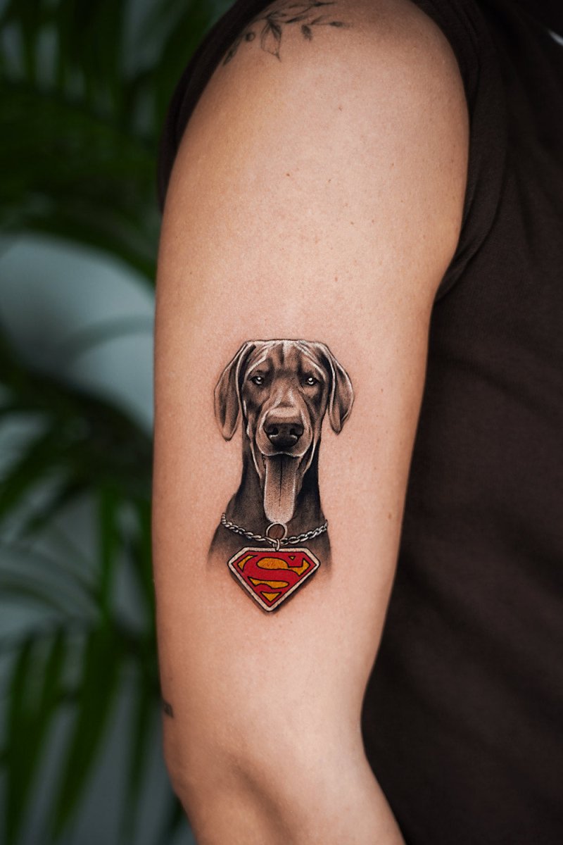 Ofir Meishar - אופיר מיישר – קעקוע מקצועי בסטודיו John Boy Tattoo תל אביב