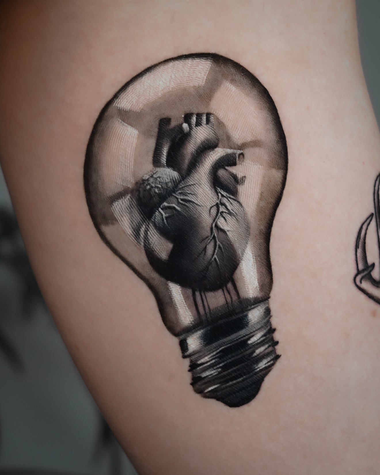 Ofir Meishar - אופיר מיישר - John Boy Tattoo
