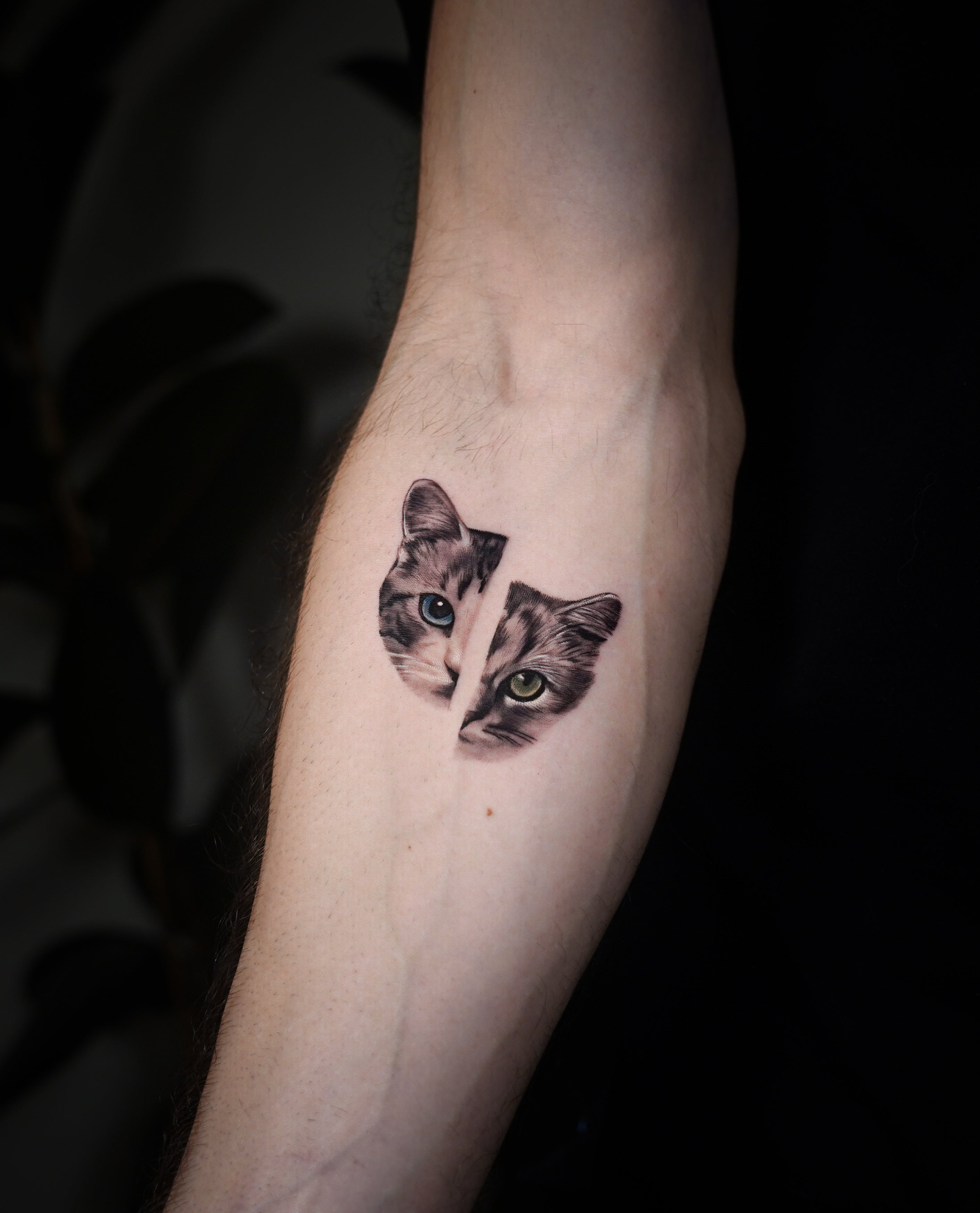 Ofir Meishar - אופיר מיישר - John Boy Tattoo