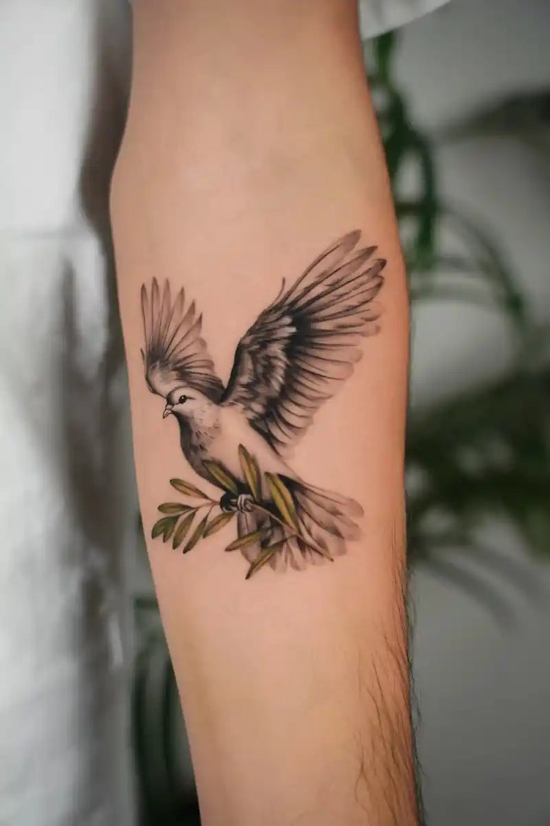 Ofir Meishar - אופיר מיישר - John Boy Tattoo