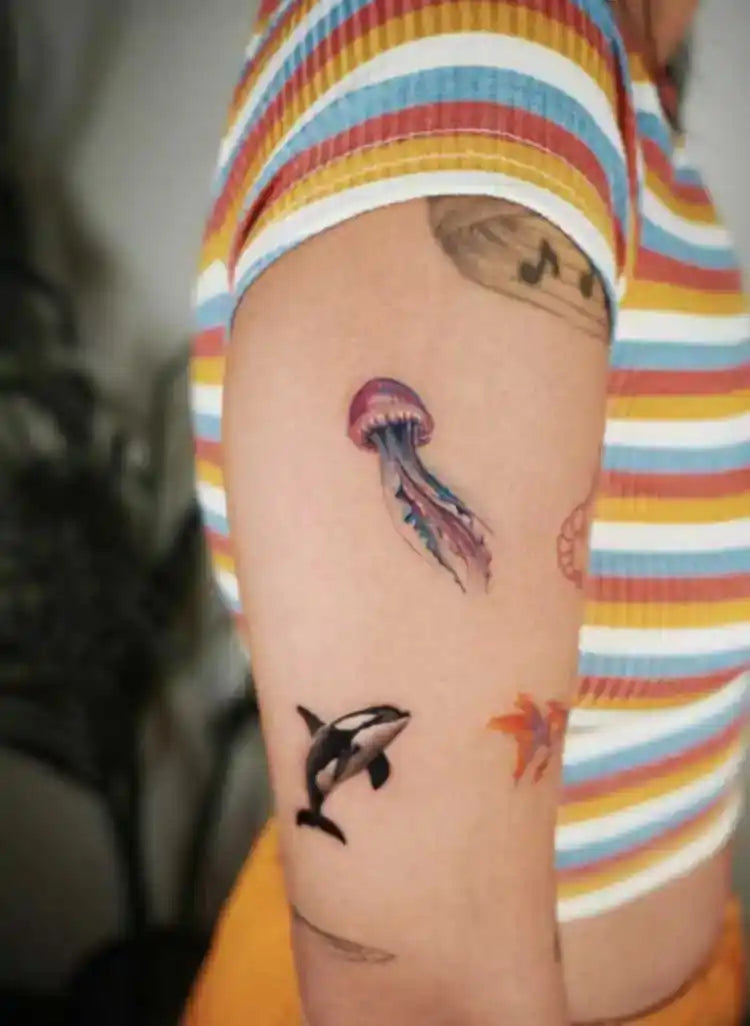 Ofir Meishar - אופיר מיישר – קעקוע מקצועי בסטודיו John Boy Tattoo תל אביב