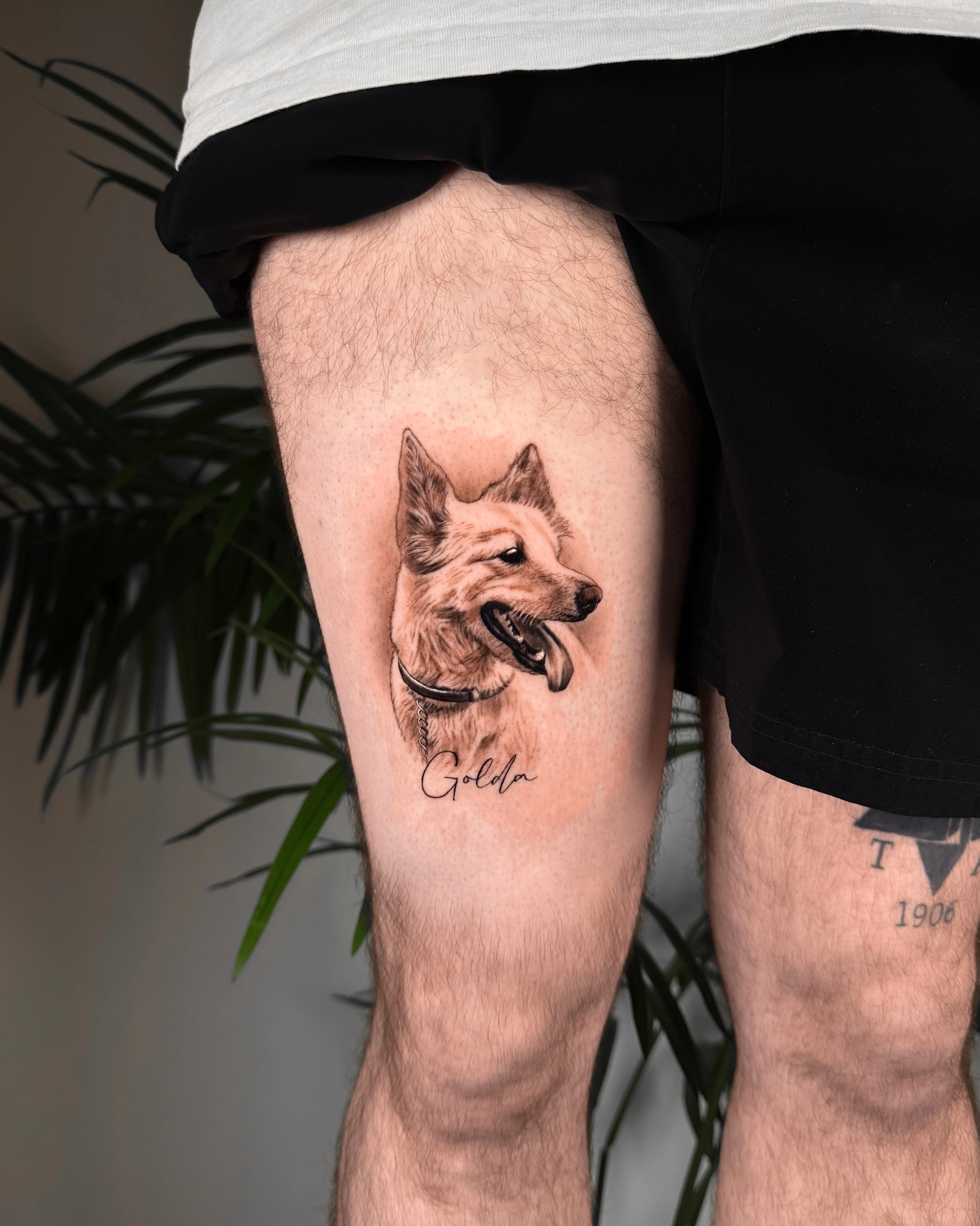 Omri Ben Harosh - עומרי בן הרוש - John Boy Tattoo
