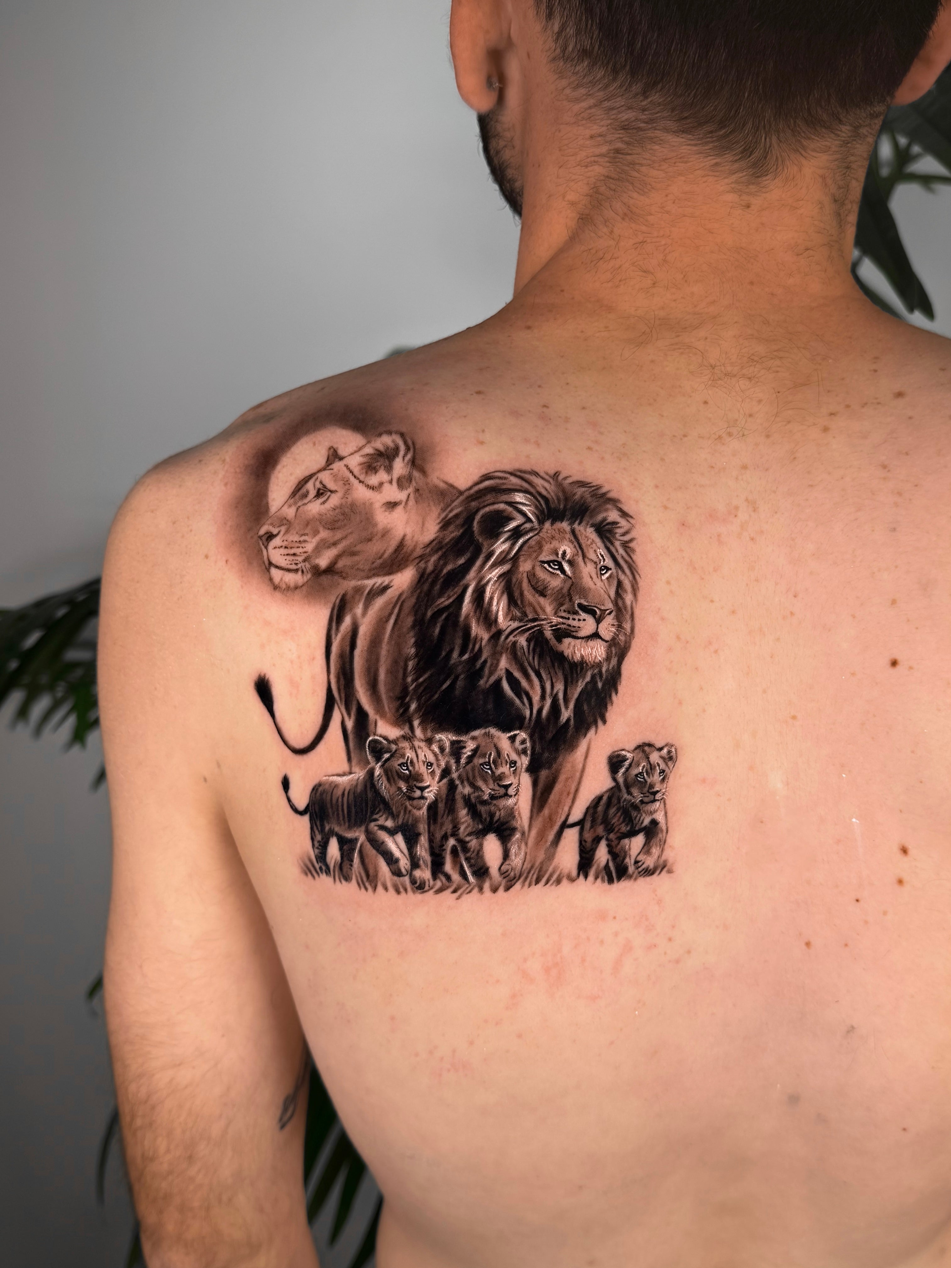 Omri Ben Harosh - עומרי בן הרוש - John Boy Tattoo