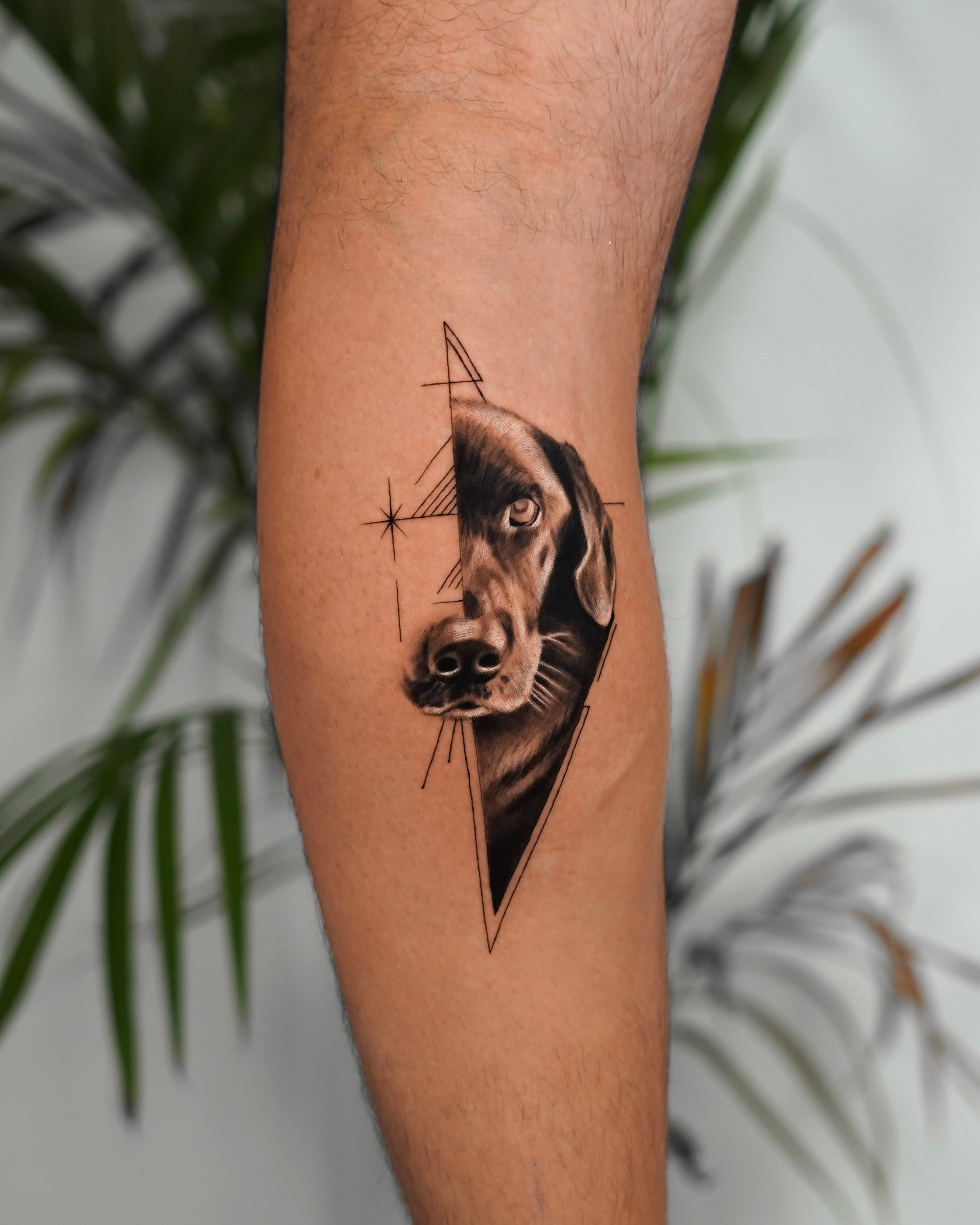 Omri Ben Harosh - עומרי בן הרוש - John Boy Tattoo