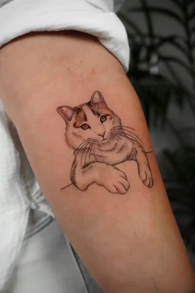 Zlata Koniak - זלטה קוניאך - John Boy Tattoo